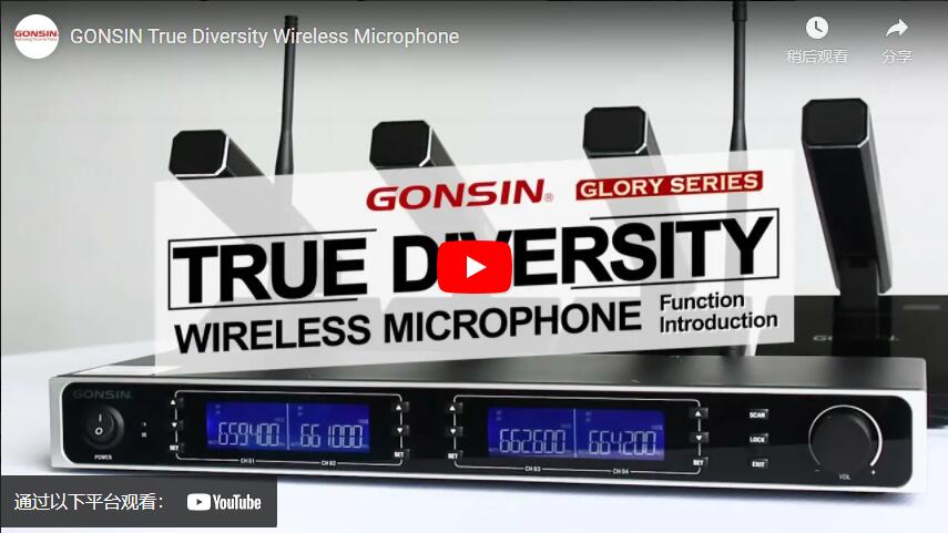 Microphone sans fil GONSIN True Diversité
